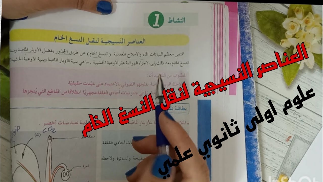 العناصر النسيجية لنقل النسغ الخام /علوم طبيعية اولى ثانوي علمي
