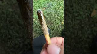 To bad it’s thcA 😢 #thc