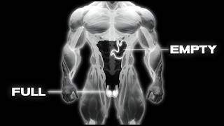 Stop Killing Your Testosterone (5 Habits You Must Fix) Profile