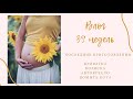 39 неделя | Собираем кроватку Happy baby| Коляска Joolz Hub |Автокресло Maxi-Cosi Pebble |Купаю кота