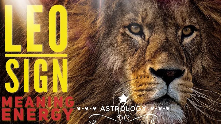 LEO SIGN IN ASTROLOGY:  Meaning, Traits, Magnetism - DayDayNews