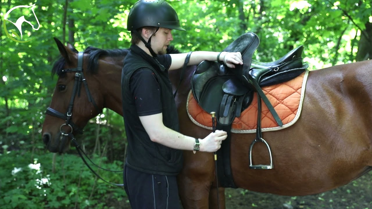 Конные прогулки с КСК Прованс - YouTube