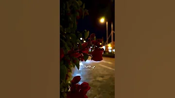 تفاصيلك خذتني لك ذوق تفاعلوا شيلات شيلة مشعل الشراري غريب ال مخلص عبدالله ال مخلص 