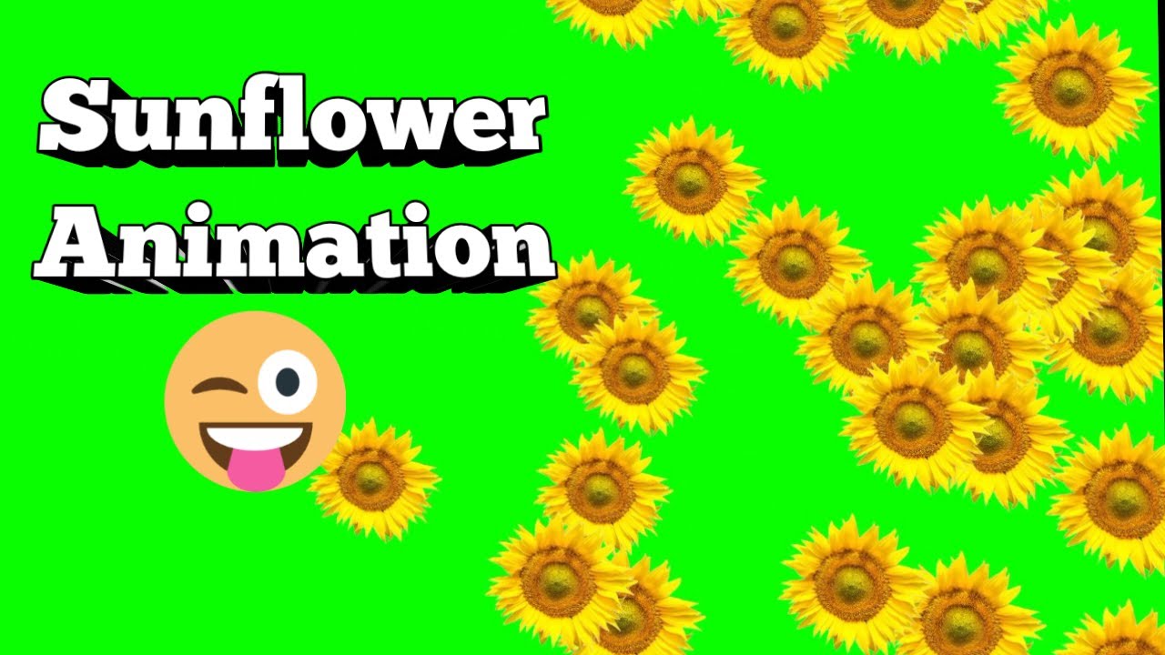 Sunflower green screen animation for gaming montage copyright free