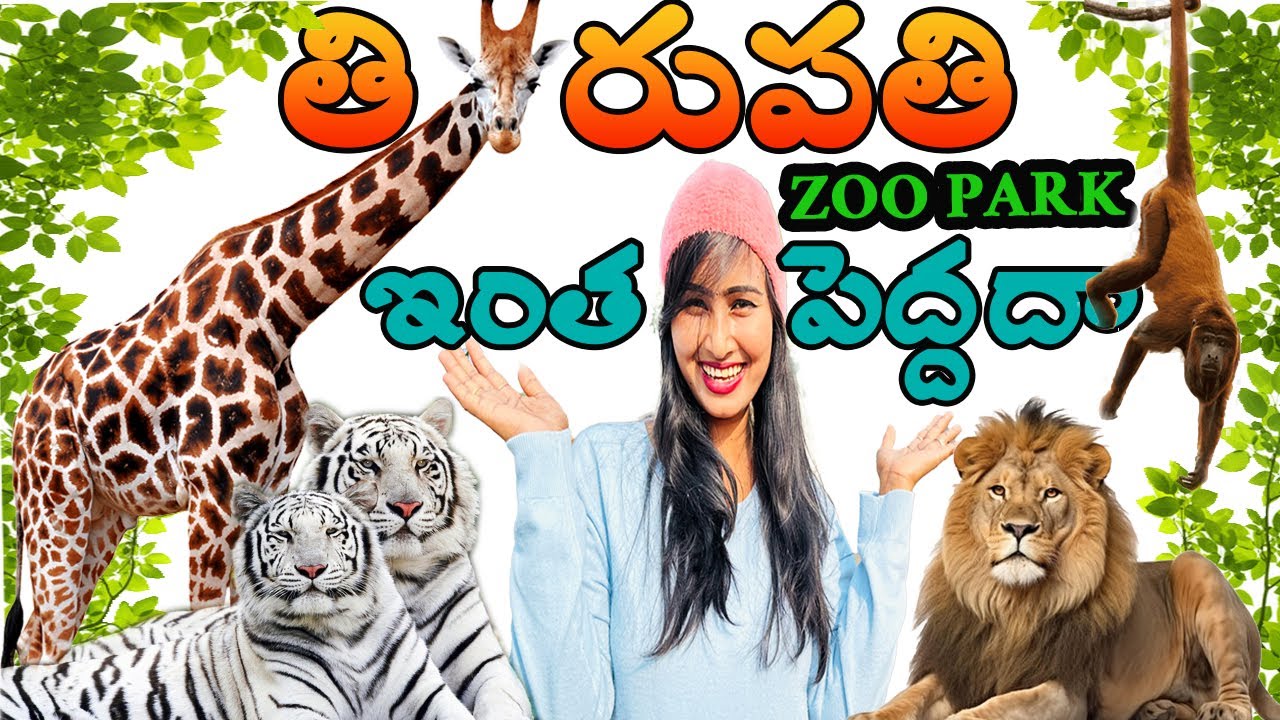 తిరుపతి జూ పార్క్ ఇంతపెద్దదా ! తిరుపతి వస్తే జూ పార్క్ ని అస్సలు మిస్స్ కాకండి ! zoo park thirupathi