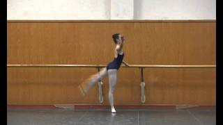 ballet technique-2013