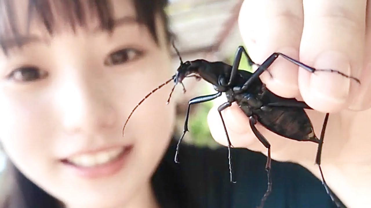 【虫Vlog】撮影中も虫探ししちゃう　in山口県