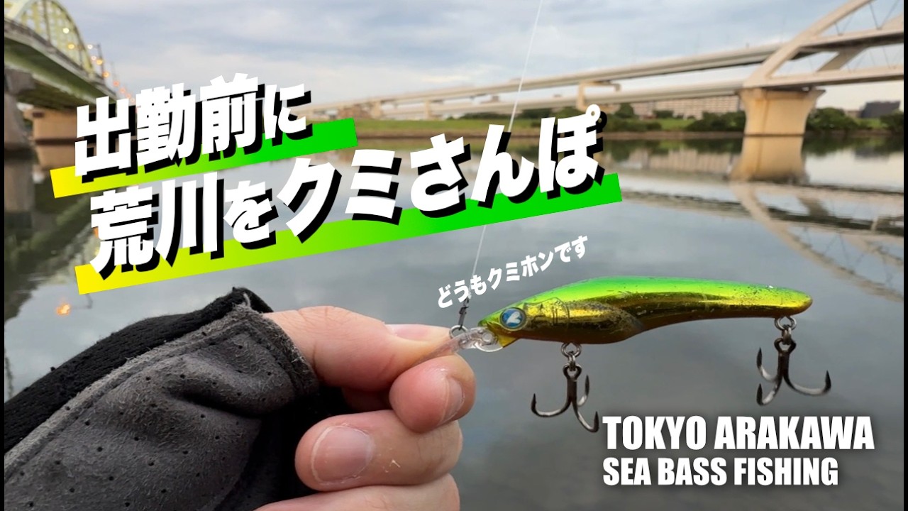 【荒川シーバスVlog – 2026.6.11】朝マズメ｜出勤前に荒川をクミさんぽ