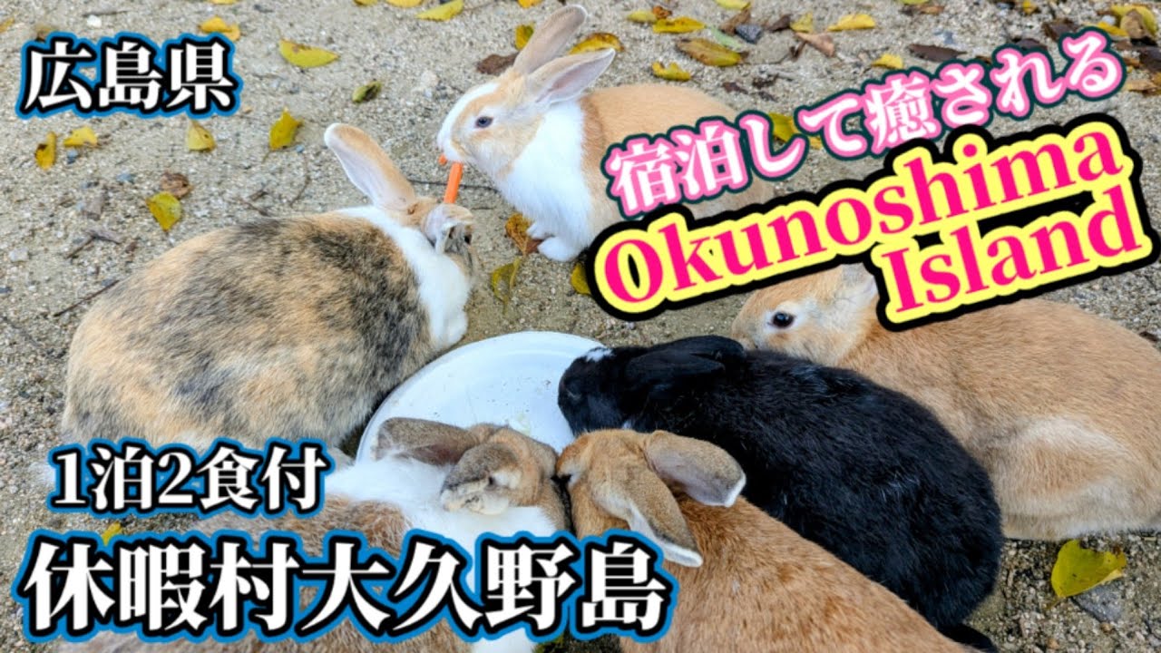 【うさぎ島大久野島】今年も元気なウサギに癒されに大久野島を訪れました