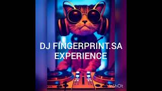 Dj Fingerprintsa experiece  