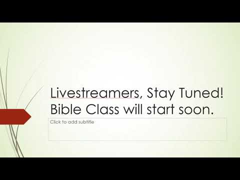 Video preview