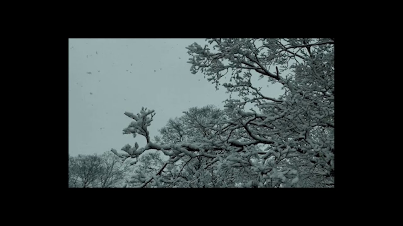 Watch Ripperton - First Snow on YouTube Watch Ripperton - First Snow on YouTube