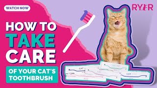 How To Simply Take Care of Your Cat’s #1 Grooming Tool: Their Toothbrush! by RYERCAT 895 views 11 months ago 1 minute, 28 seconds