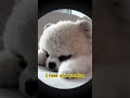 Will you be my friend?