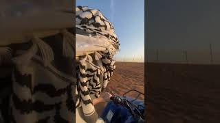 The Desert Safari,Dubai