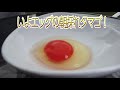 イヨエッグ朝採れ卵　玉子かけごはん　内子　森文さんこだわり醤油