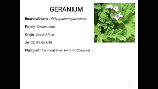 HORT - 354 Cultivation practices of Geranium