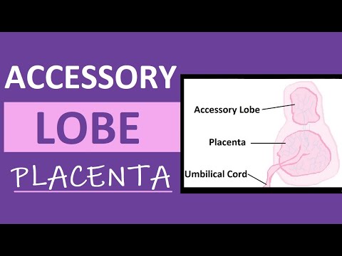 Video: Cât de comună este placenta bilobulată?