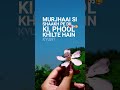 #ytshorts ##leo1 #shorts #flowers