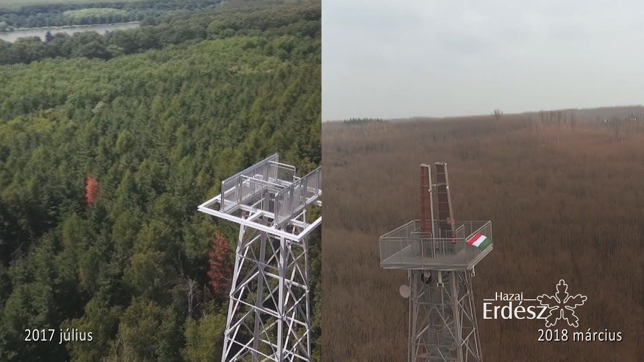 Madárszemmel - A Nagykanizsai Csónakázó-tó melletti kilátó és környéke