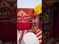 🎪 Lights, fun, circus run! Hit Subscribe for more amazing setups! #circusthemebirthday #circusvibes