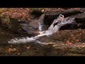 Roaring Fork Falls - from Falls of the Carolinas