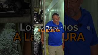 El problema del personal, llega a todos los rincones de España.#españa #negocios #trabajo