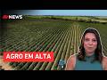Mariana Grilli: Acordo Mercosul-UE deve impulsionar crescimento de US$1 bilhão em 2026