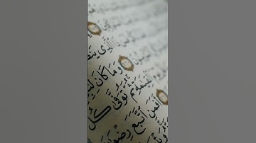 #explore #foryou #استغفر_الله #quran #قران #تلاوة #قران_بصوت_جميل #سبحان_الله #اسلام_صبحى