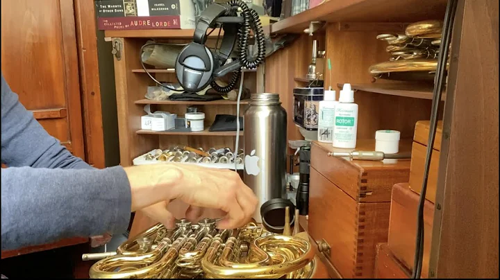 Ann Ellsworth - Horn Lessons in Anti Racism