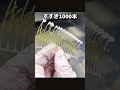 大量のススキ&葉のミニチュアで作るリアルな河原ジオラマ #ミニチュア #模型 #diorama