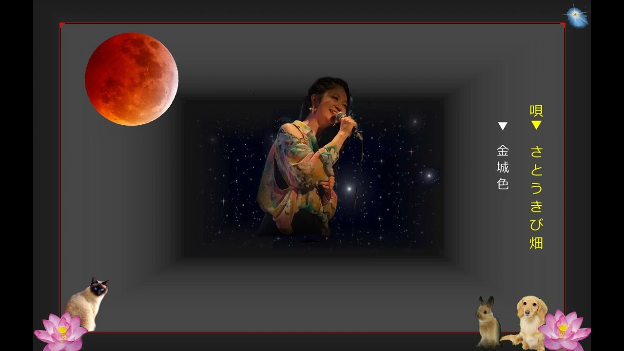 沖縄民謡歌詞 沖縄民謡動画 沖縄ポップス さとうきび畑 金城色 島唄動画リクエスト匿名 三線初心者 母と子 北中城ん人 Okinawa Music Sanshin 沖縄民謡島唄動画 Youtube