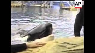 The federal government has fined SeaWorld Orlando $75,000 on Monday for three violations uncovered w