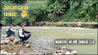 Mancing Nilem Di Sungai Elo
