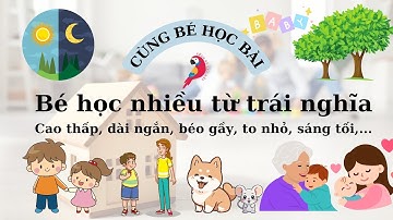 Bé Tập Nói Từ Trái Nghĩa: Cao Thấp, To Nhỏ, Ngày Đêm | CÙNG BÉ HỌC BÀI