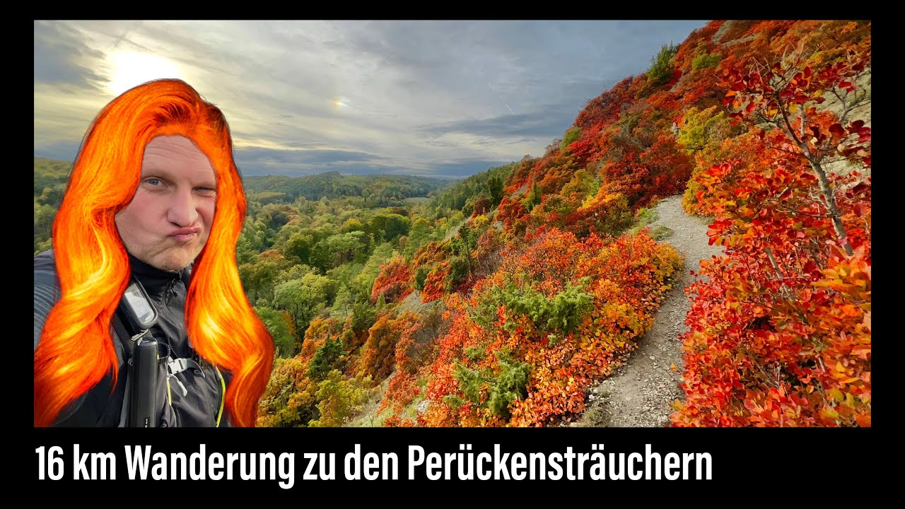 16 km Wanderung zu den Perückensträuchern in Jena