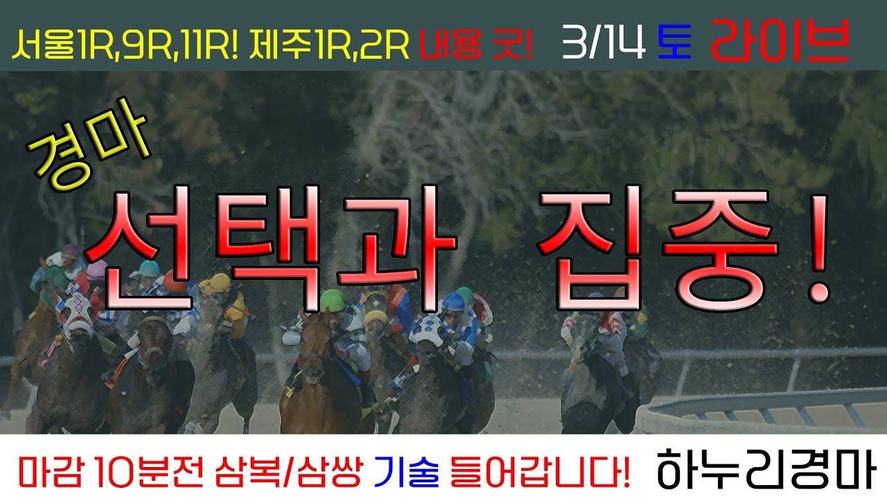 3/14(토) 경마 선택과 집중! 서울 1R,9R,11R 제주 1R,2R 내용굿! 경주별 삼복/삼쌍 기술 들어갑니다!!