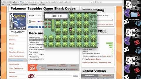 how to enter cheats on the vba game Pokemon sapphire