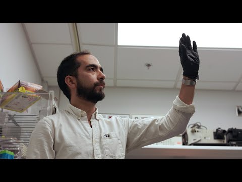 В США создали стабильный солнечный элемент без кремния
