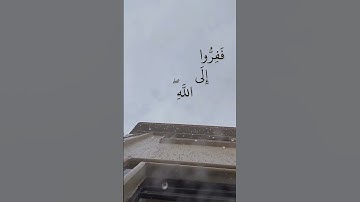 ففروا الى الله اني لكم منه نذير مبين سورة الذاريات