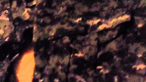 My midnight digital camo