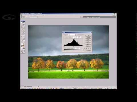 Photography Tips - Histograms Explained