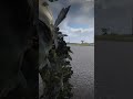 работает дрг #arma3 #armareforger #gaming #battle #drg #shoter