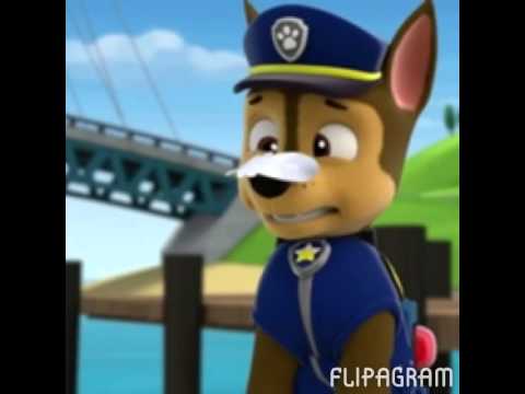 camera iphone 8 plus apk Paw patrol chase