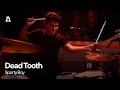 Dead tooth  sporty boy  audiotree live