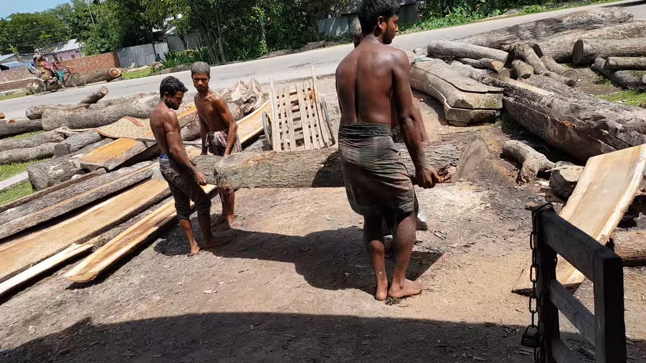 Teak Wood with Powerful Fighter Cutting with Dust Machine।Old Dusty Machine Wood Cutting Workers