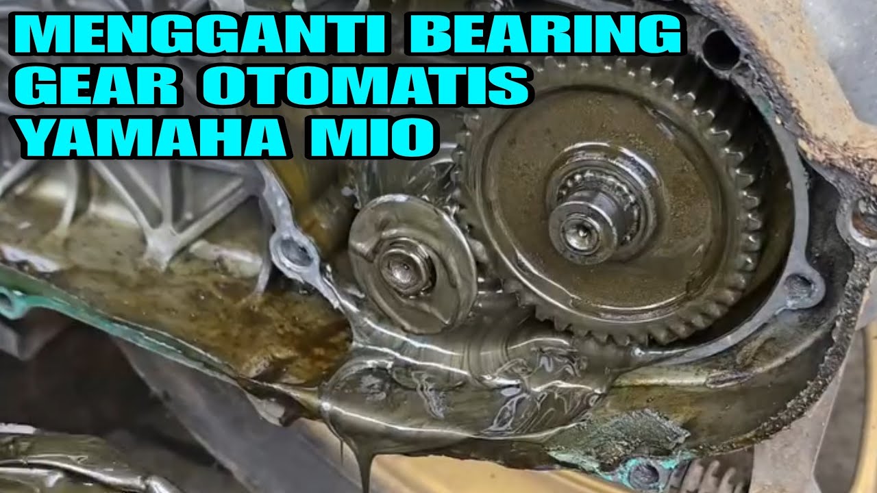 MENGGANTI BEARING GEAR GARDAN OTOMATIS MOTOR MATIC YAMAHA MIO