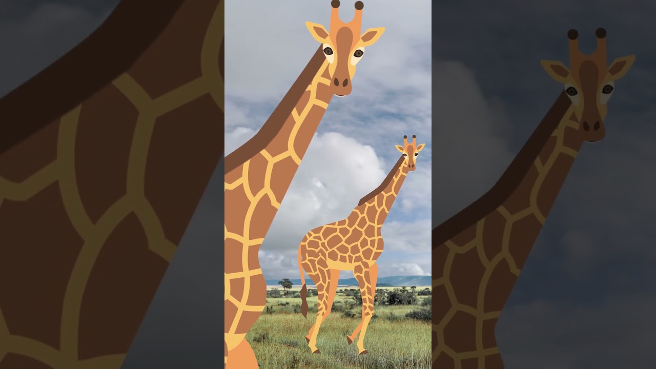 In the Heart of Africa