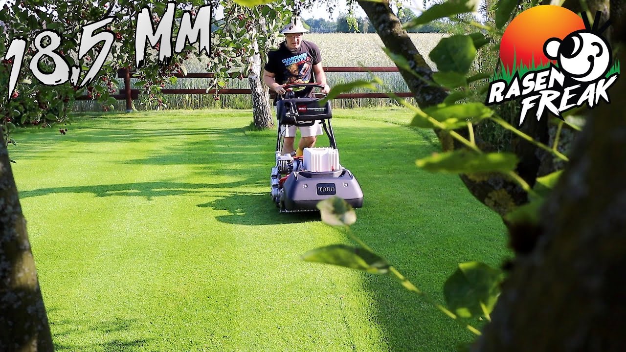 GENAU 18,5 mm SCHNITTHÖHE - 😎 CUT Teil 2 mit dem TORO eFLEX - der Rasenfreak mäht tiefer