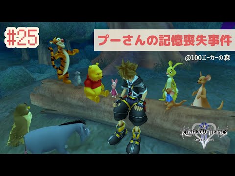 プーさんページ プーさんの世界でほっこり🍯爆笑の再会#25【キングダムハーツⅡ